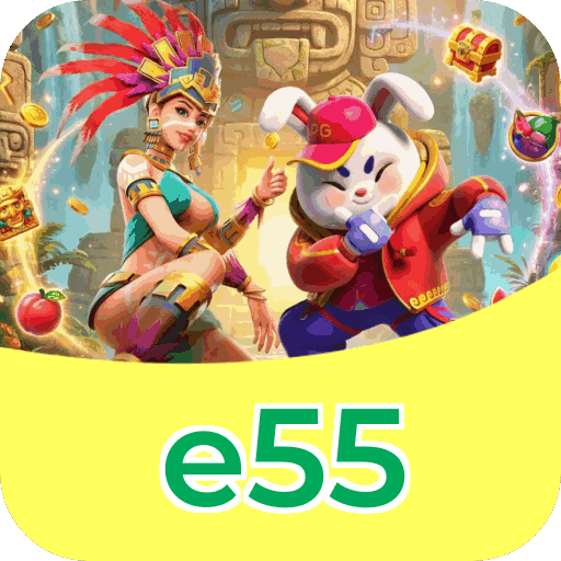 Interface e55